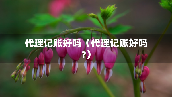 代理記賬好嗎（代理記賬好嗎?）