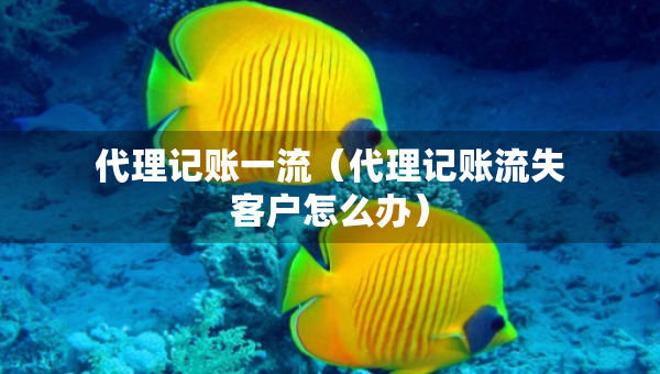 代理記賬一流（代理記賬流失客戶怎么辦）