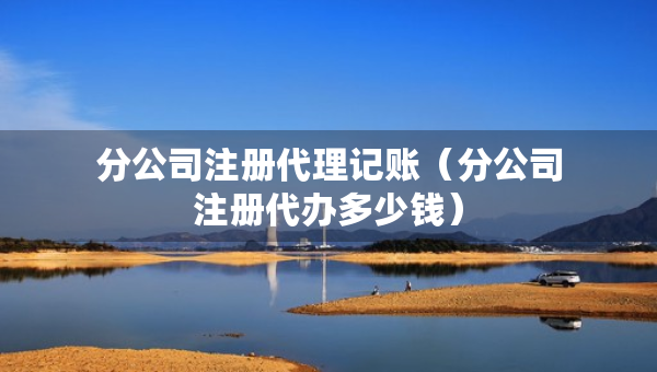 分公司注冊代理記賬（分公司注冊代辦多少錢）