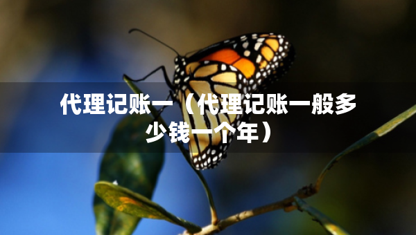 代理記賬一（代理記賬一般多少錢(qián)一個(gè)年）