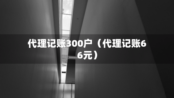 代理記賬300戶（代理記賬66元）