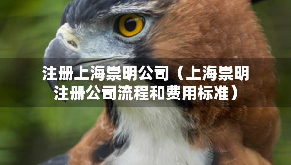 注冊上海崇明公司（上海崇明注冊公司流程和費用標準）