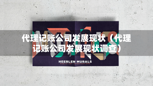 代理記賬公司發(fā)展現(xiàn)狀（代理記賬公司發(fā)展現(xiàn)狀調(diào)查）