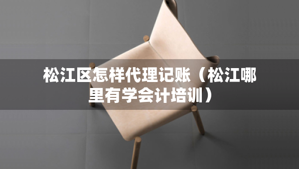 松江區(qū)怎樣代理記賬（松江哪里有學(xué)會計培訓(xùn)）