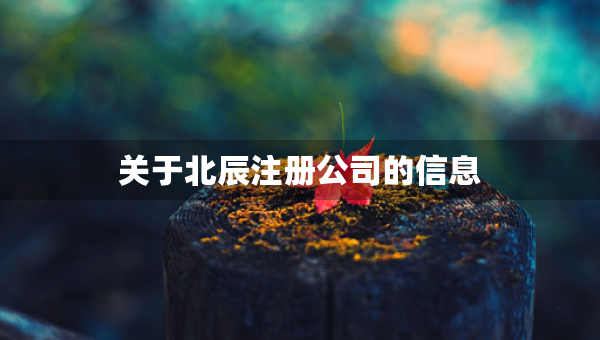 關(guān)于北辰注冊(cè)公司的信息