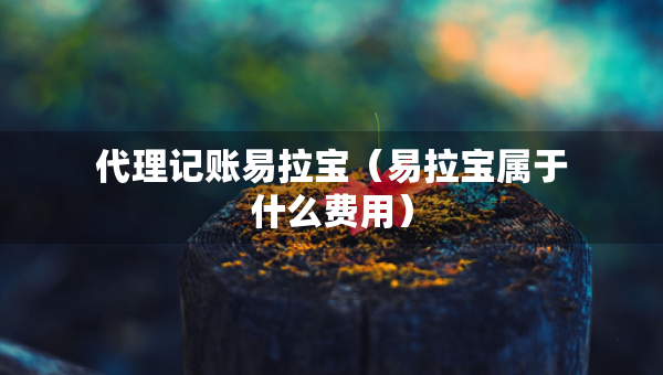 代理記賬易拉寶（易拉寶屬于什么費(fèi)用）