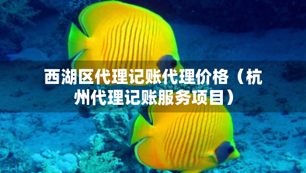 西湖區(qū)代理記賬代理價(jià)格（杭州代理記賬服務(wù)項(xiàng)目）