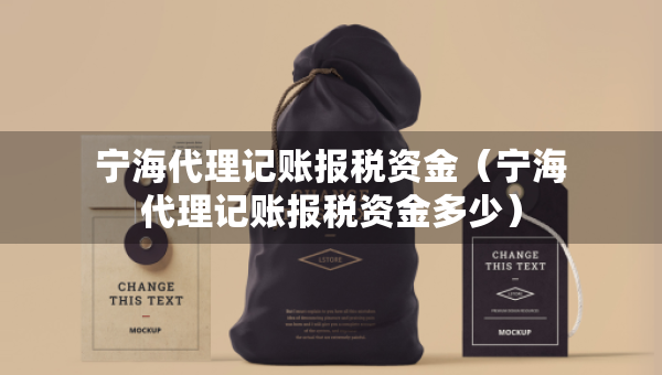 寧海代理記賬報稅資金（寧海代理記賬報稅資金多少）