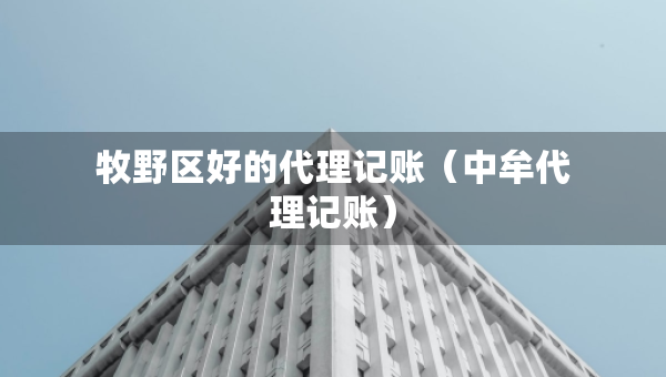 牧野區(qū)好的代理記賬（中牟代理記賬）