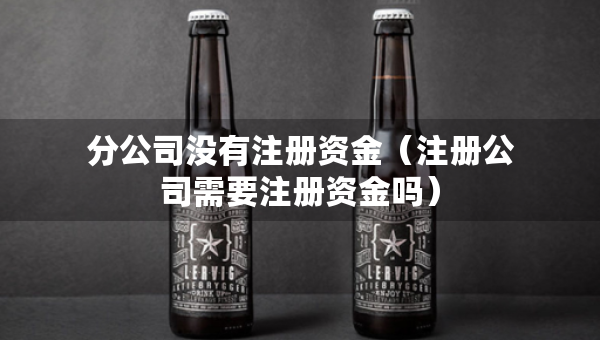 分公司沒有注冊(cè)資金（注冊(cè)公司需要注冊(cè)資金嗎）