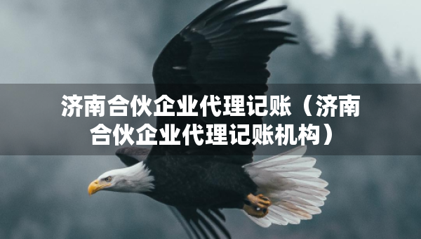 濟南合伙企業(yè)代理記賬（濟南合伙企業(yè)代理記賬機構(gòu)）