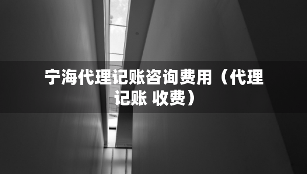 寧海代理記賬咨詢(xún)費(fèi)用（代理記賬 收費(fèi)）