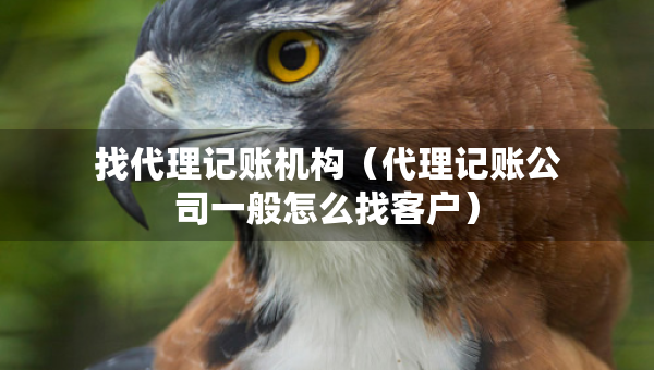找代理記賬機構(gòu)（代理記賬公司一般怎么找客戶）