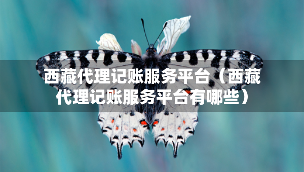西藏代理記賬服務(wù)平臺(tái)（西藏代理記賬服務(wù)平臺(tái)有哪些）