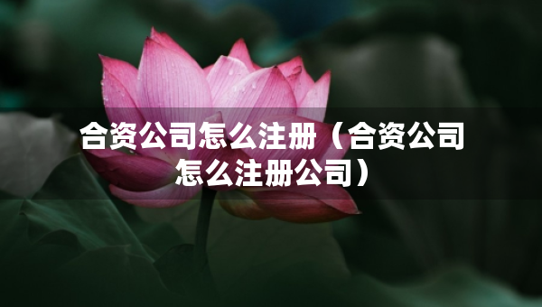 合資公司怎么注冊（合資公司怎么注冊公司）