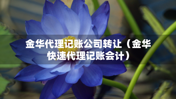 金華代理記賬公司轉讓（金華快速代理記賬會計）