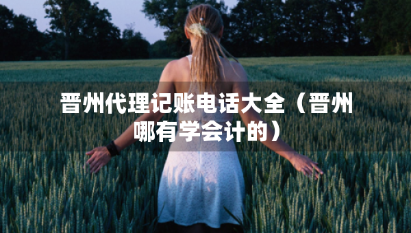 晉州代理記賬電話大全（晉州哪有學(xué)會(huì)計(jì)的）