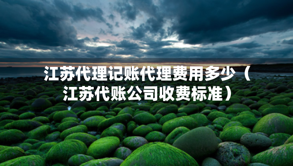 江蘇代理記賬代理費(fèi)用多少（江蘇代賬公司收費(fèi)標(biāo)準(zhǔn)）