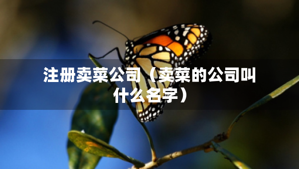 注冊賣菜公司（賣菜的公司叫什么名字）