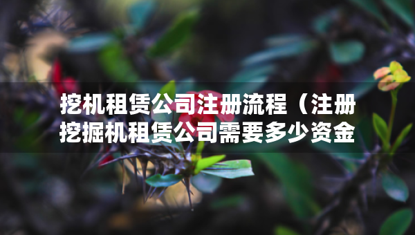 挖機(jī)租賃公司注冊(cè)流程（注冊(cè)挖掘機(jī)租賃公司需要多少資金）