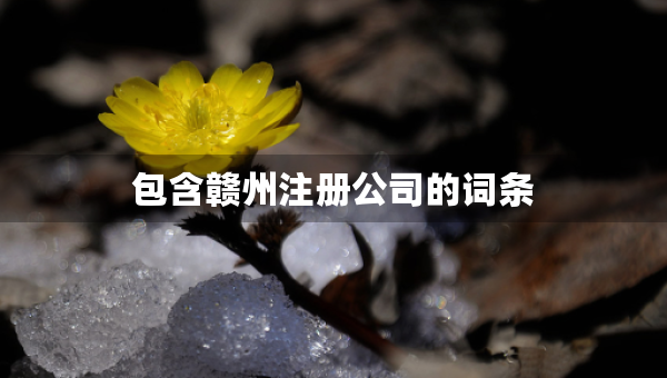 包含贛州注冊公司的詞條