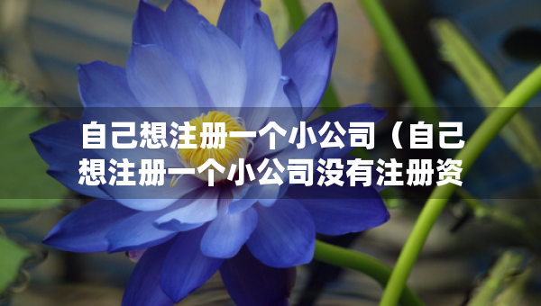 自己想注冊(cè)一個(gè)小公司（自己想注冊(cè)一個(gè)小公司沒有注冊(cè)資金）