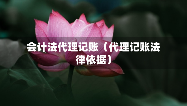 會計法代理記賬（代理記賬法律依據(jù)）