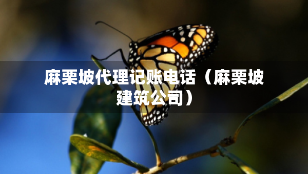 麻栗坡代理記賬電話（麻栗坡建筑公司）