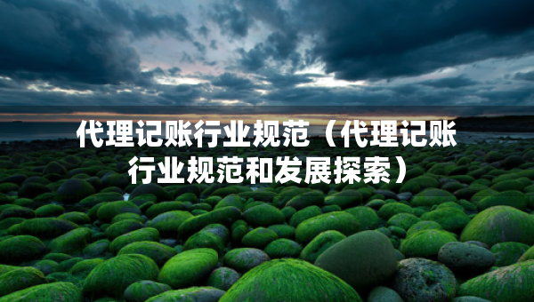 代理記賬行業(yè)規(guī)范（代理記賬行業(yè)規(guī)范和發(fā)展探索）
