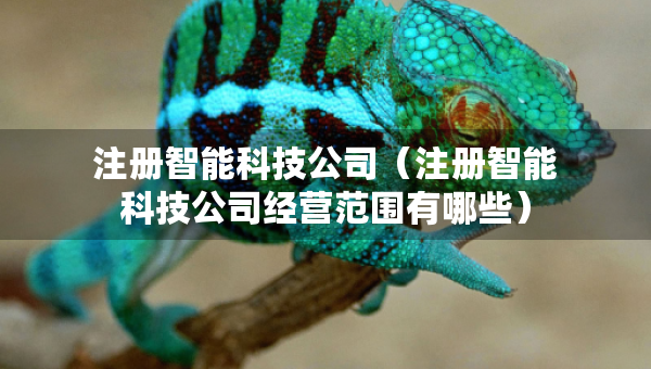 注冊智能科技公司（注冊智能科技公司經(jīng)營范圍有哪些）