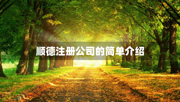 順德注冊公司的簡單介紹