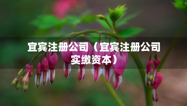 宜賓注冊公司（宜賓注冊公司實繳資本）