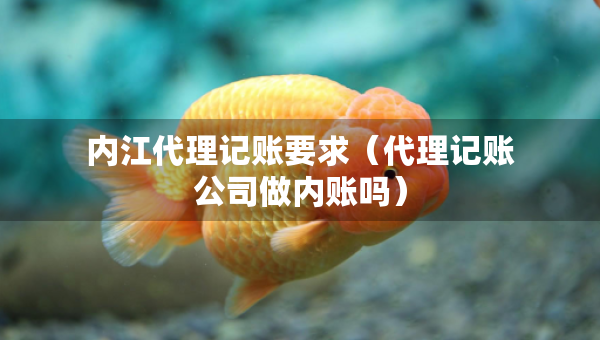 內(nèi)江代理記賬要求（代理記賬公司做內(nèi)賬嗎）