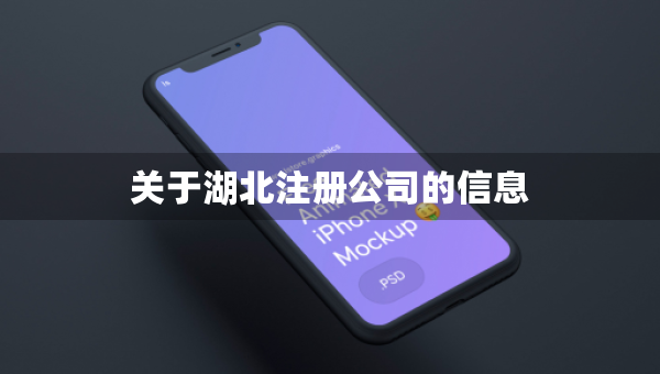 關(guān)于湖北注冊公司的信息