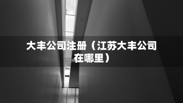 大豐公司注冊（江蘇大豐公司在哪里）
