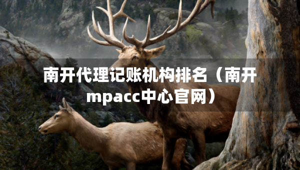 南開代理記賬機構(gòu)排名（南開mpacc中心官網(wǎng)）