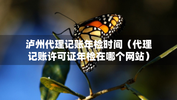瀘州代理記賬年檢時間（代理記賬許可證年檢在哪個網(wǎng)站）