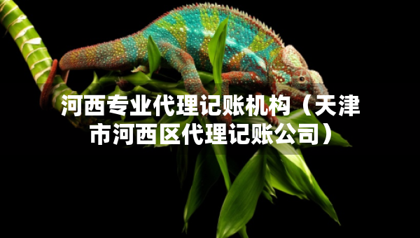 河西專(zhuān)業(yè)代理記賬機(jī)構(gòu)（天津市河西區(qū)代理記賬公司）
