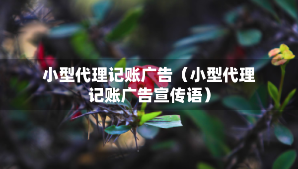 小型代理記賬廣告（小型代理記賬廣告宣傳語(yǔ)）
