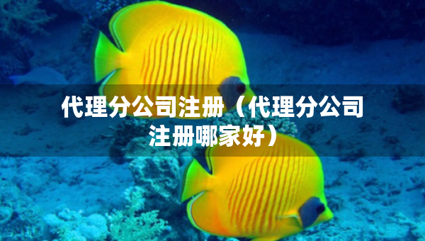 代理分公司注冊(cè)（代理分公司注冊(cè)哪家好）