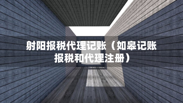 射陽(yáng)報(bào)稅代理記賬（如皋記賬報(bào)稅和代理注冊(cè)）