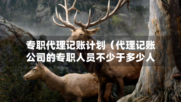 專職代理記賬計(jì)劃（代理記賬公司的專職人員不少于多少人）