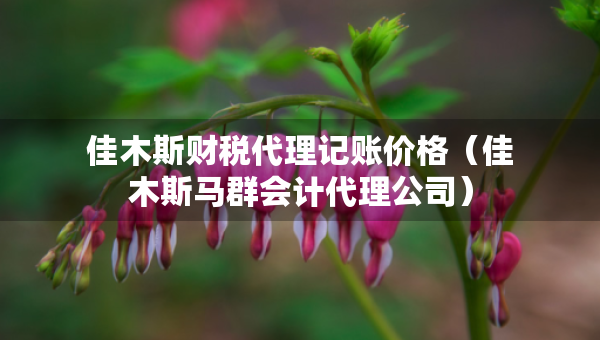 佳木斯財(cái)稅代理記賬價(jià)格（佳木斯馬群會計(jì)代理公司）