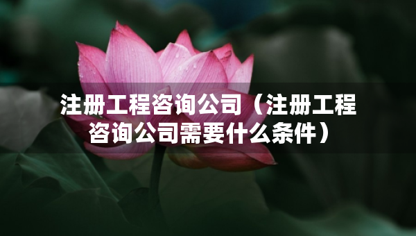 注冊(cè)工程咨詢公司（注冊(cè)工程咨詢公司需要什么條件）