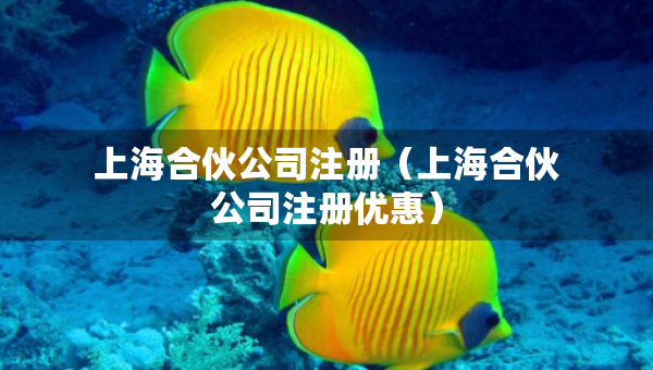 上海合伙公司注冊(cè)（上海合伙公司注冊(cè)優(yōu)惠）