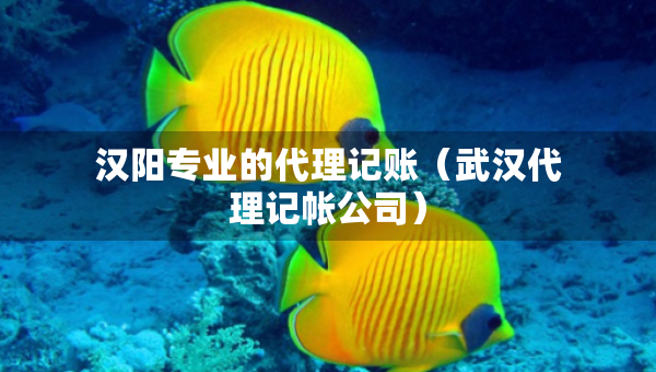 漢陽(yáng)專(zhuān)業(yè)的代理記賬（武漢代理記帳公司）