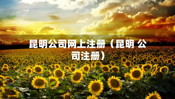 昆明公司網(wǎng)上注冊（昆明 公司注冊）