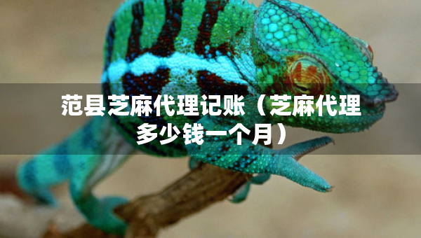 范縣芝麻代理記賬（芝麻代理多少錢一個(gè)月）