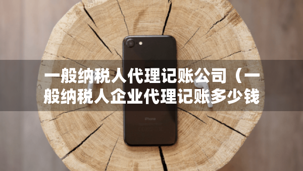 一般納稅人代理記賬公司（一般納稅人企業(yè)代理記賬多少錢）
