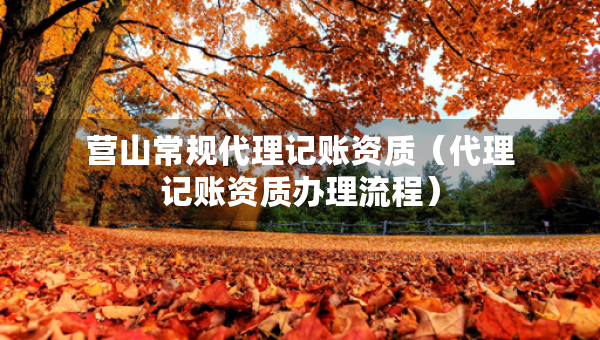 營山常規(guī)代理記賬資質(zhì)（代理記賬資質(zhì)辦理流程）
